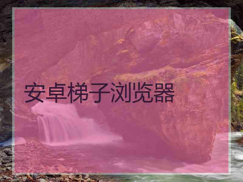安卓梯子浏览器