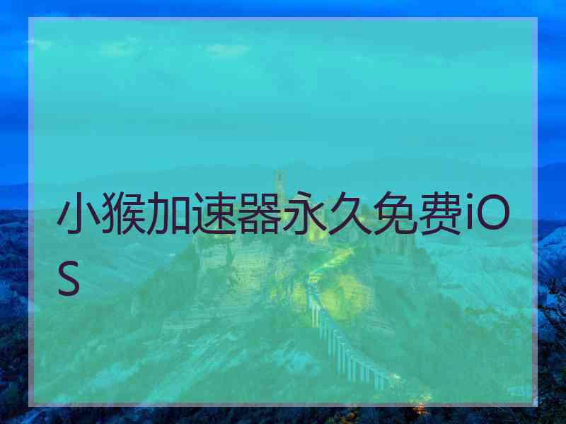 小猴加速器永久免费iOS