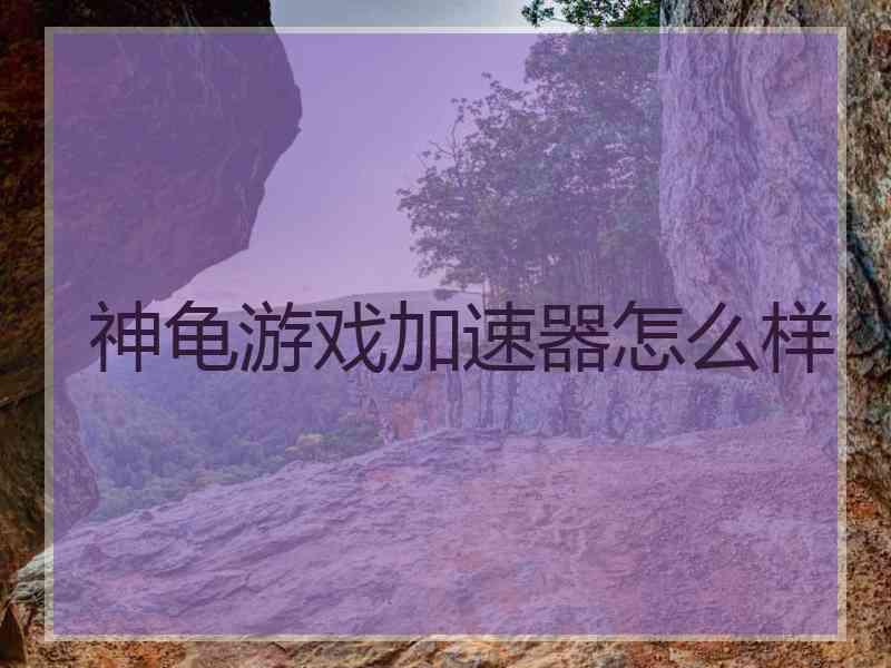 神龟游戏加速器怎么样