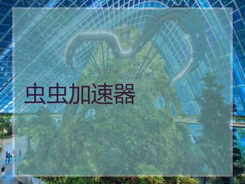 虫虫加速器