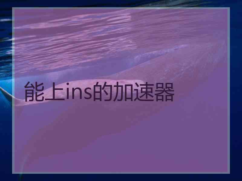 能上ins的加速器