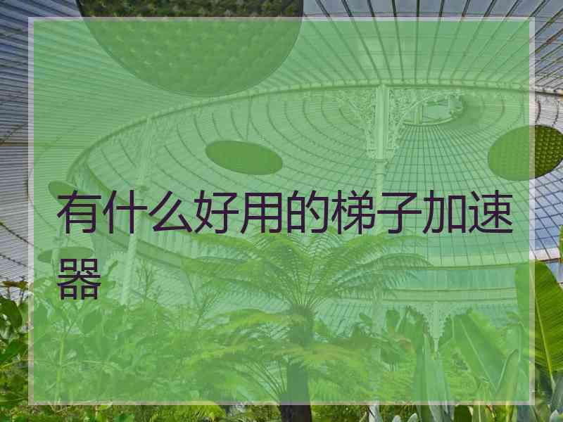 有什么好用的梯子加速器