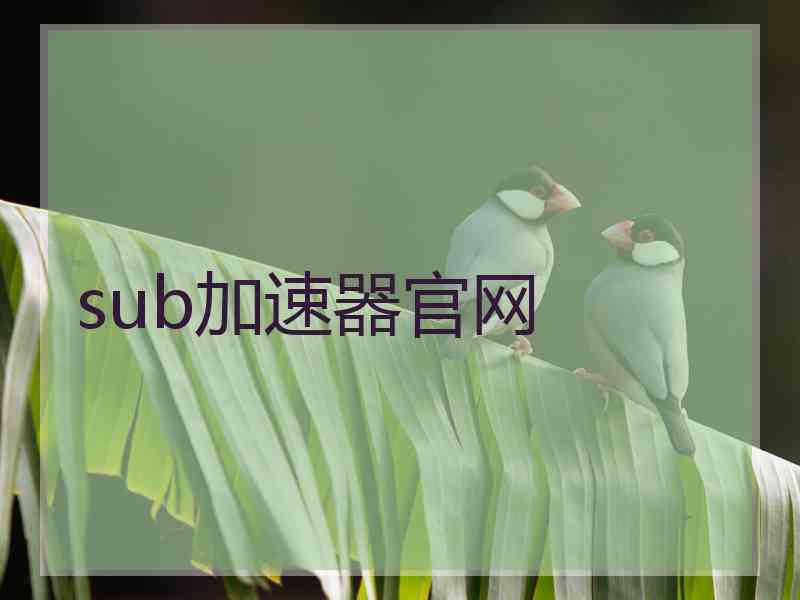 sub加速器官网