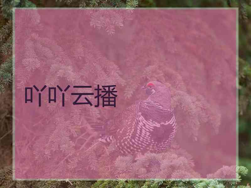 吖吖云播