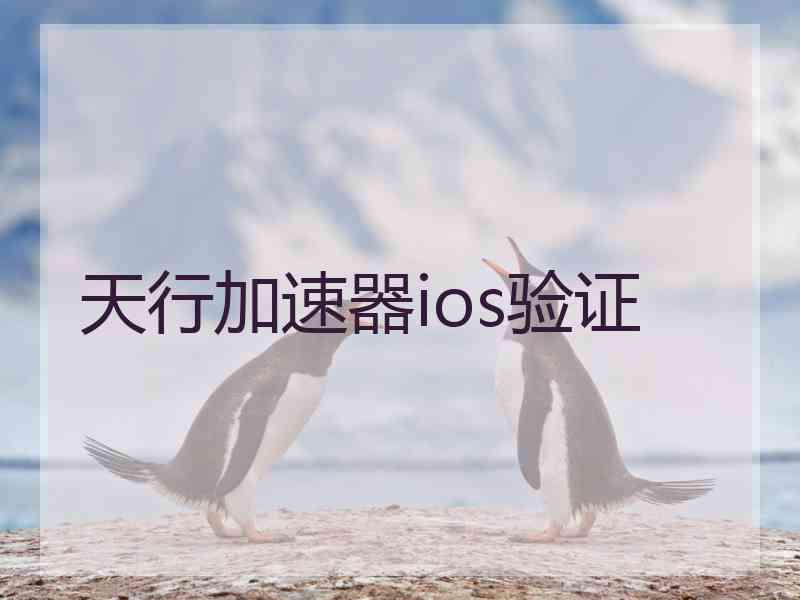 天行加速器ios验证