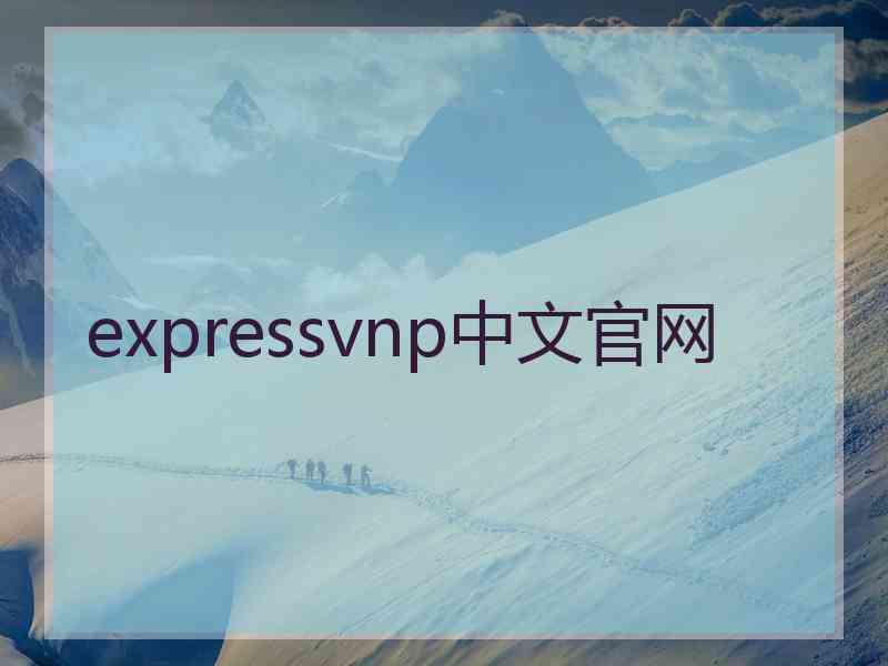 expressvnp中文官网
